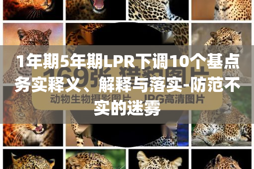 1年期5年期LPR下調(diào)10個基點務(wù)實釋義、解釋與落實-防范不實的迷霧