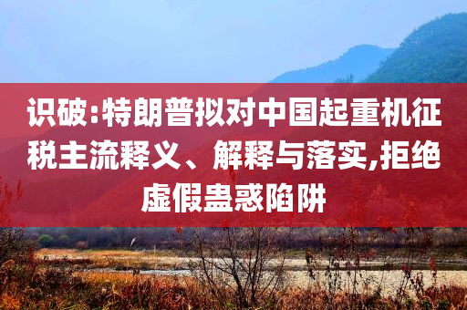 識(shí)破:特朗普擬對(duì)中國(guó)起重機(jī)征稅主流釋義、解釋與落實(shí),拒絕虛假蠱惑陷阱