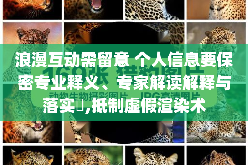 浪漫互動需留意 個人信息要保密專業(yè)釋義、專家解讀解釋與落實?,抵制虛假渲染術(shù)