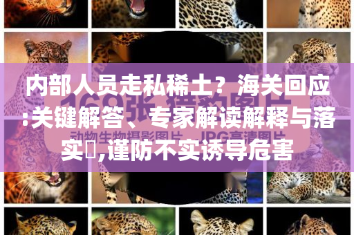 內(nèi)部人員走私稀土？海關(guān)回應(yīng):關(guān)鍵解答、專家解讀解釋與落實?,謹(jǐn)防不實誘導(dǎo)危害