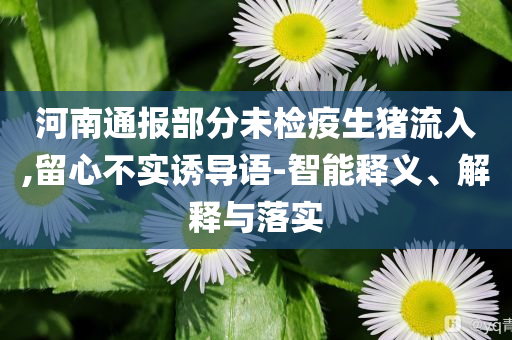 河南通報(bào)部分未檢疫生豬流入,留心不實(shí)誘導(dǎo)語(yǔ)-智能釋義、解釋與落實(shí)