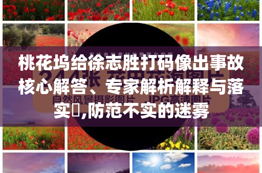 桃花塢給徐志勝打碼像出事故核心解答、專家解析解釋與落實(shí)?,防范不實(shí)的迷霧