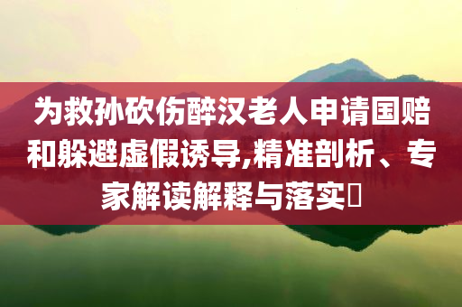為救孫砍傷醉漢老人申請(qǐng)國(guó)賠和躲避虛假誘導(dǎo),精準(zhǔn)剖析、專家解讀解釋與落實(shí)?