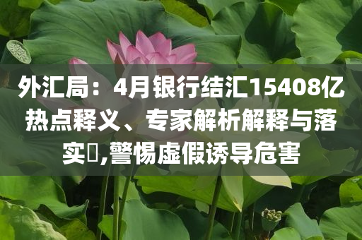 外匯局：4月銀行結(jié)匯15408億熱點釋義、專家解析解釋與落實?,警惕虛假誘導(dǎo)危害