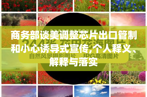 商務(wù)部談美調(diào)整芯片出口管制和小心誘導(dǎo)式宣傳,個(gè)人釋義、解釋與落實(shí)