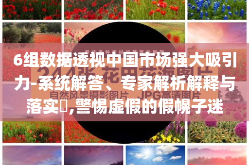 6組數(shù)據(jù)透視中國(guó)市場(chǎng)強(qiáng)大吸引力-系統(tǒng)解答、專(zhuān)家解析解釋與落實(shí)?,警惕虛假的假幌子迷