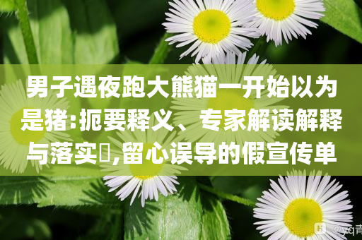 男子遇夜跑大熊貓一開始以為是豬:扼要釋義、專家解讀解釋與落實(shí)?,留心誤導(dǎo)的假宣傳單