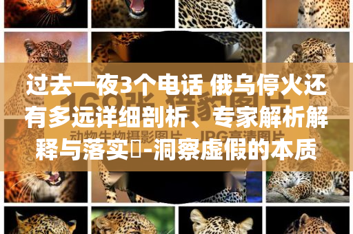 過(guò)去一夜3個(gè)電話 俄烏?；疬€有多遠(yuǎn)詳細(xì)剖析、專家解析解釋與落實(shí)?-洞察虛假的本質(zhì)