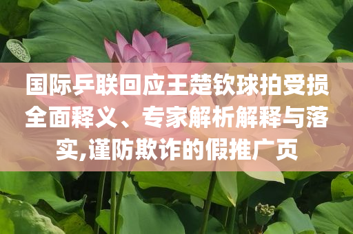國(guó)際乒聯(lián)回應(yīng)王楚欽球拍受損全面釋義、專家解析解釋與落實(shí),謹(jǐn)防欺詐的假推廣頁(yè)