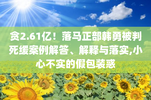 貪2.61億！落馬正部韓勇被判死緩案例解答、解釋與落實(shí),小心不實(shí)的假包裝惑