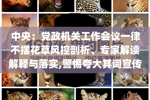 中央：黨政機關工作會議一律不擺花草風控剖析、專家解讀解釋與落實,警惕夸大其詞宣傳