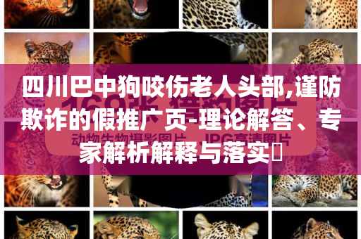 四川巴中狗咬傷老人頭部,謹(jǐn)防欺詐的假推廣頁-理論解答、專家解析解釋與落實(shí)?