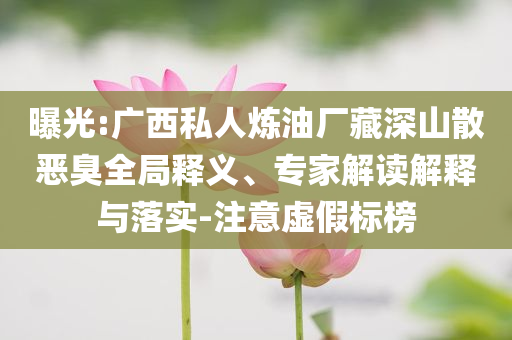 曝光:廣西私人煉油廠藏深山散惡臭全局釋義、專家解讀解釋與落實(shí)-注意虛假標(biāo)榜