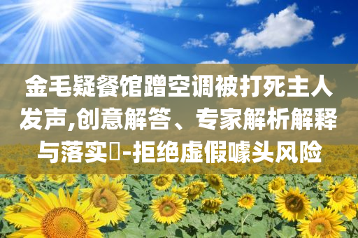 金毛疑餐館蹭空調(diào)被打死主人發(fā)聲,創(chuàng)意解答、專家解析解釋與落實(shí)?-拒絕虛假噱頭風(fēng)險(xiǎn)