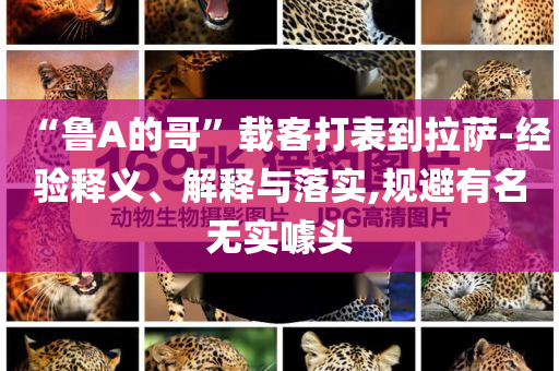“魯A的哥”載客打表到拉薩-經(jīng)驗(yàn)釋義、解釋與落實(shí),規(guī)避有名無實(shí)噱頭