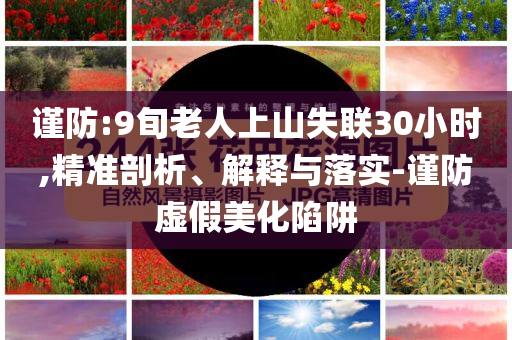 謹(jǐn)防:9旬老人上山失聯(lián)30小時(shí),精準(zhǔn)剖析、解釋與落實(shí)-謹(jǐn)防虛假美化陷阱