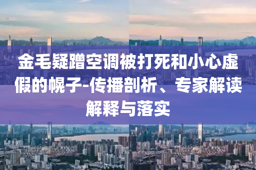 金毛疑蹭空調(diào)被打死和小心虛假的幌子-傳播剖析、專家解讀解釋與落實(shí)
