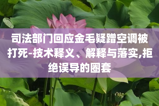 司法部門回應(yīng)金毛疑蹭空調(diào)被打死-技術(shù)釋義、解釋與落實,拒絕誤導(dǎo)的圈套