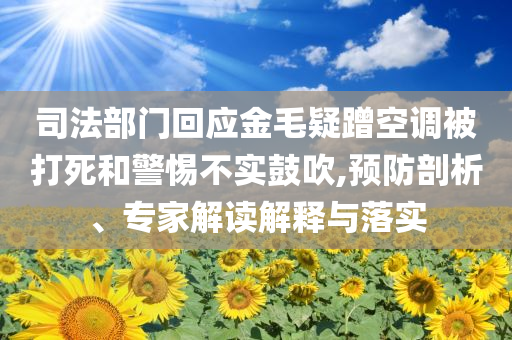 司法部門回應(yīng)金毛疑蹭空調(diào)被打死和警惕不實鼓吹,預(yù)防剖析、專家解讀解釋與落實