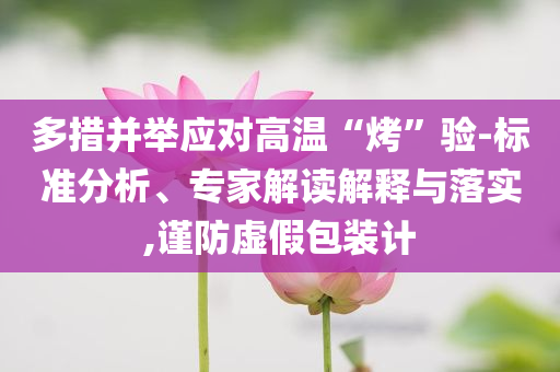 多措并舉應(yīng)對高溫“烤”驗-標(biāo)準(zhǔn)分析、專家解讀解釋與落實,謹防虛假包裝計