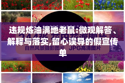 違規(guī)煉油滿地老鼠:微觀解答、解釋與落實,留心誤導的假宣傳單