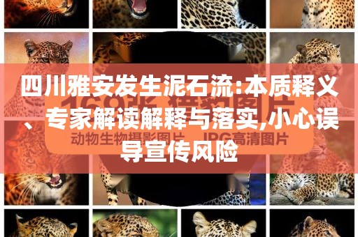 四川雅安發(fā)生泥石流:本質(zhì)釋義、專家解讀解釋與落實(shí),小心誤導(dǎo)宣傳風(fēng)險(xiǎn)