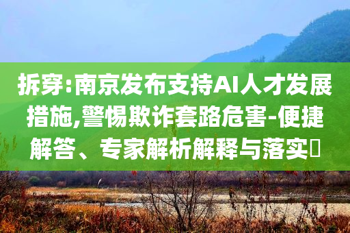 拆穿:南京發(fā)布支持AI人才發(fā)展措施,警惕欺詐套路危害-便捷解答、專家解析解釋與落實?