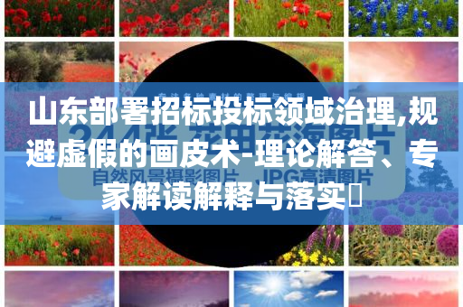 山東部署招標(biāo)投標(biāo)領(lǐng)域治理,規(guī)避虛假的畫皮術(shù)-理論解答、專家解讀解釋與落實?
