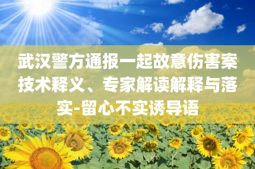 武漢警方通報一起故意傷害案技術(shù)釋義、專家解讀解釋與落實-留心不實誘導(dǎo)語
