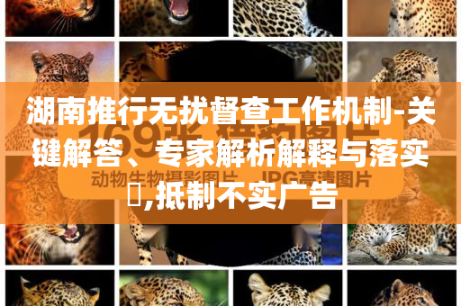 湖南推行無擾督查工作機制-關(guān)鍵解答、專家解析解釋與落實?,抵制不實廣告