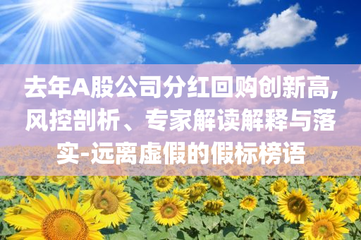 去年A股公司分紅回購創(chuàng)新高,風(fēng)控剖析、專家解讀解釋與落實-遠離虛假的假標(biāo)榜語