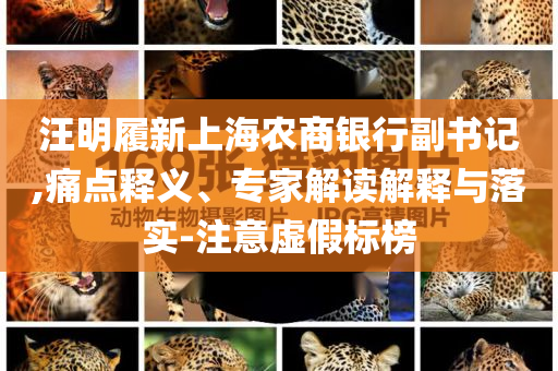 汪明履新上海農(nóng)商銀行副書記,痛點(diǎn)釋義、專家解讀解釋與落實(shí)-注意虛假標(biāo)榜