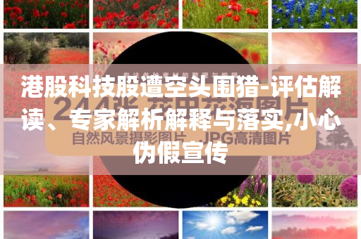 港股科技股遭空頭圍獵-評(píng)估解讀、專家解析解釋與落實(shí),小心偽假宣傳