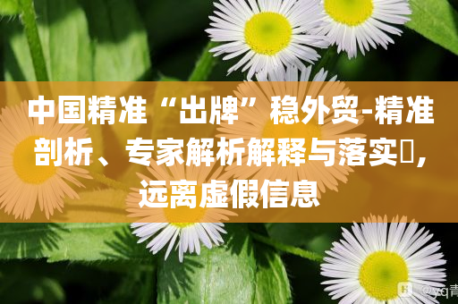 中國精準(zhǔn)“出牌”穩(wěn)外貿(mào)-精準(zhǔn)剖析、專家解析解釋與落實?,遠(yuǎn)離虛假信息