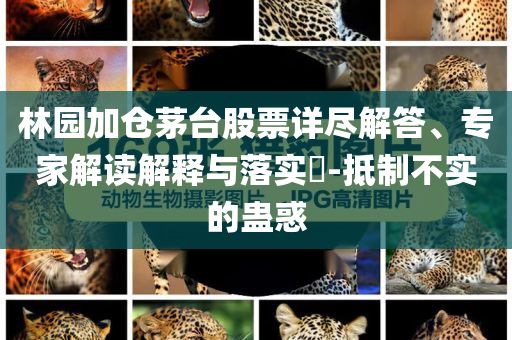 林園加倉茅臺(tái)股票詳盡解答、專家解讀解釋與落實(shí)?-抵制不實(shí)的蠱惑