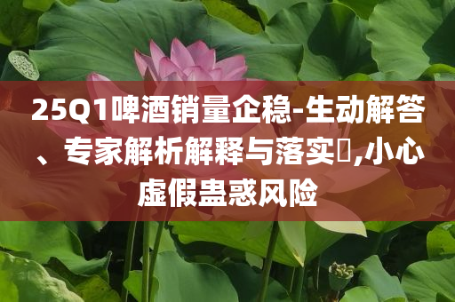 25Q1啤酒銷量企穩(wěn)-生動(dòng)解答、專家解析解釋與落實(shí)?,小心虛假蠱惑風(fēng)險(xiǎn)