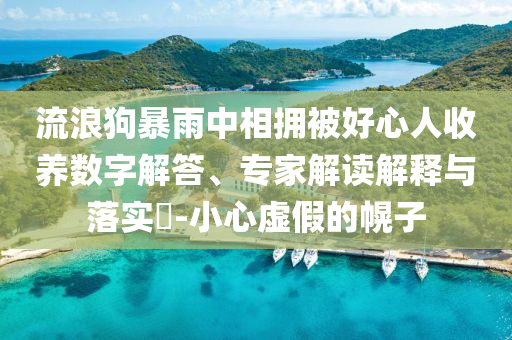 流浪狗暴雨中相擁被好心人收養(yǎng)數(shù)字解答、專家解讀解釋與落實(shí)?-小心虛假的幌子