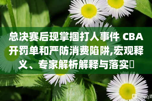 總決賽后現(xiàn)掌摑打人事件 CBA開罰單和嚴防消費陷阱,宏觀釋義、專家解析解釋與落實?