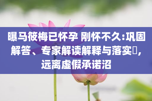 曝馬筱梅已懷孕 剛懷不久:鞏固解答、專家解讀解釋與落實(shí)?,遠(yuǎn)離虛假承諾沼