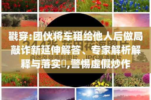 戳穿:團(tuán)伙將車(chē)租給他人后做局敲詐新延伸解答、專(zhuān)家解析解釋與落實(shí)?,警惕虛假炒作