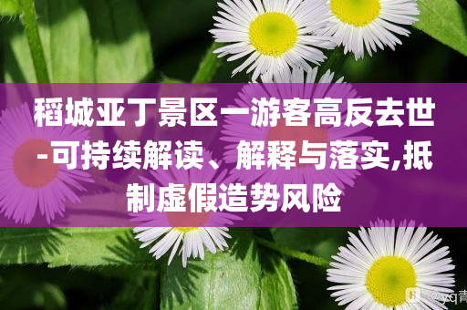 稻城亞丁景區(qū)一游客高反去世-可持續(xù)解讀、解釋與落實(shí),抵制虛假造勢(shì)風(fēng)險(xiǎn)