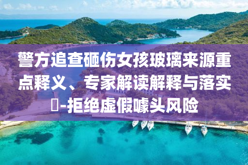 警方追查砸傷女孩玻璃來(lái)源重點(diǎn)釋義、專家解讀解釋與落實(shí)?-拒絕虛假噱頭風(fēng)險(xiǎn)