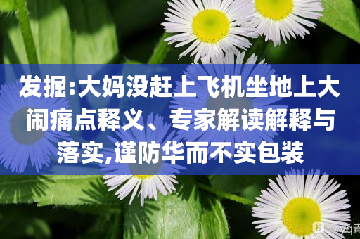 發(fā)掘:大媽沒趕上飛機坐地上大鬧痛點釋義、專家解讀解釋與落實,謹防華而不實包裝