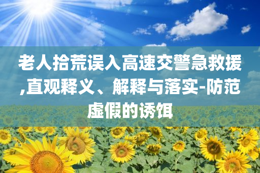 老人拾荒誤入高速交警急救援,直觀釋義、解釋與落實(shí)-防范虛假的誘餌