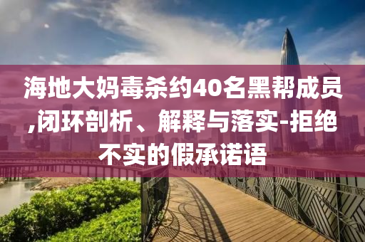海地大媽毒殺約40名黑幫成員,閉環(huán)剖析、解釋與落實(shí)-拒絕不實(shí)的假承諾語