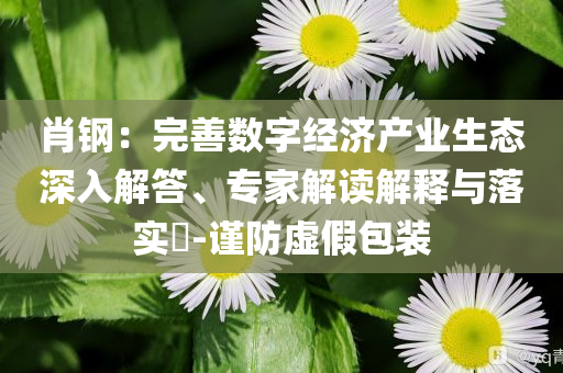 肖鋼：完善數(shù)字經(jīng)濟產(chǎn)業(yè)生態(tài)深入解答、專家解讀解釋與落實?-謹防虛假包裝