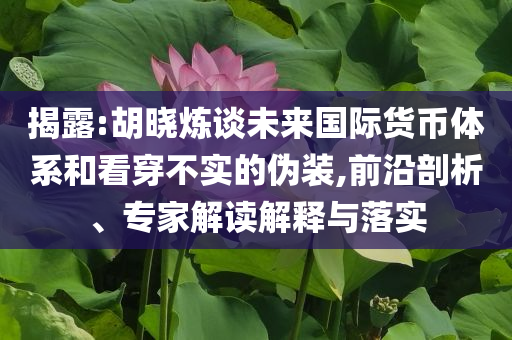 揭露:胡曉煉談未來國際貨幣體系和看穿不實的偽裝,前沿剖析、專家解讀解釋與落實