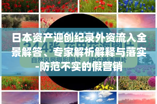 日本資產(chǎn)迎創(chuàng)紀(jì)錄外資流入全景解答、專家解析解釋與落實-防范不實的假營銷
