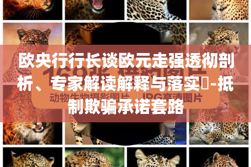 歐央行行長談歐元走強(qiáng)透徹剖析、專家解讀解釋與落實(shí)?-抵制欺騙承諾套路
