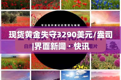 現(xiàn)貨黃金失守3290美元/盎司|界面新聞 · 快訊